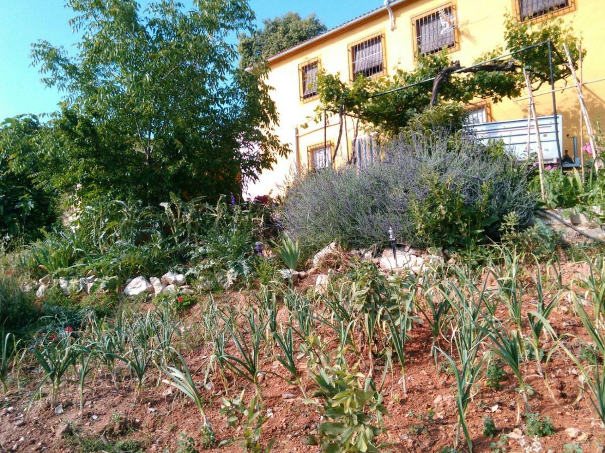 Villa Cortijo De La Cruz Iznájar Exterior foto